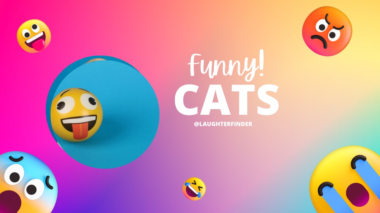 FUNNY CATS 🤣😂