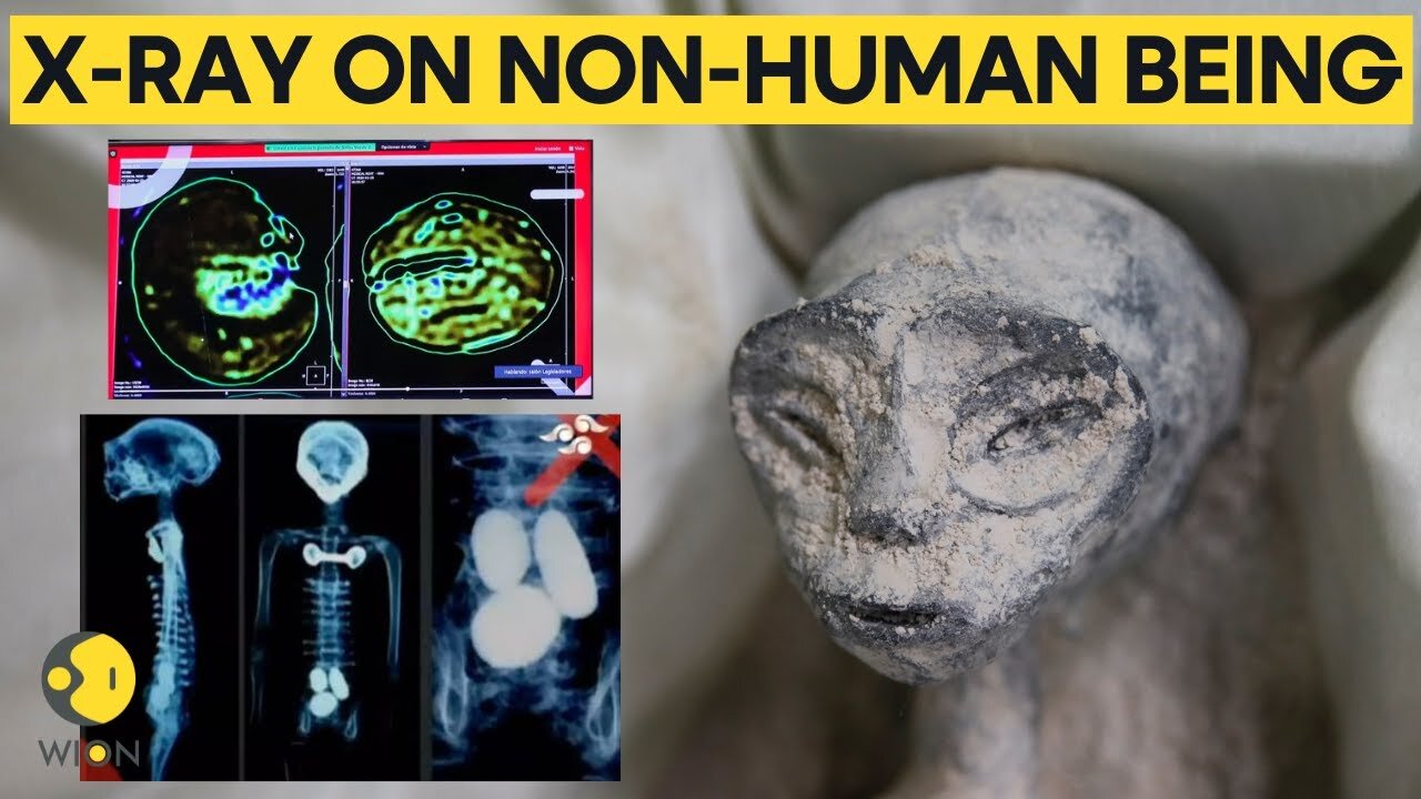 Mexican UFO expert conducts x-rays on 'non-human' beings presented at Congress | WION Originals