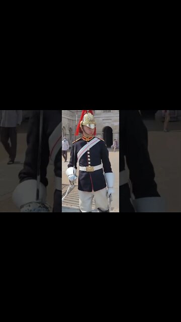 blues and royals the queens guards #horseguardsparade