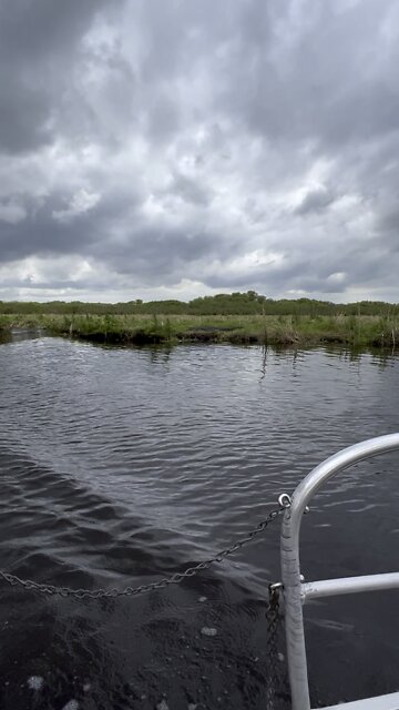 Airboat Ride 3
