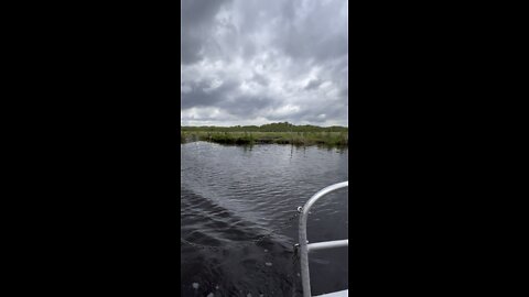 Airboat Ride 3