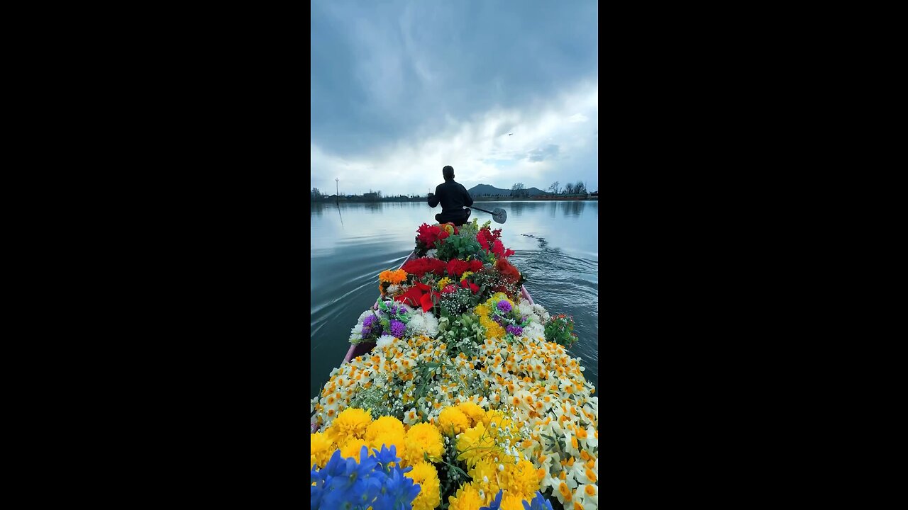 Kashmir view