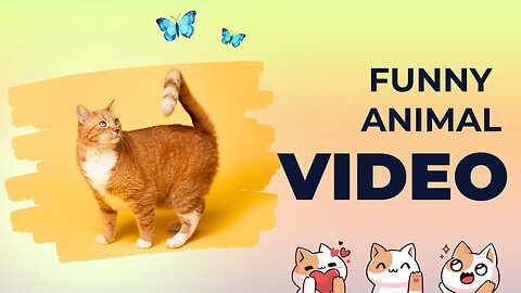 Funny Animal Videos 2023 😂 - Funniest Cats And Dogs Video 😺😍