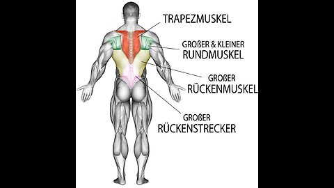 6 Exercises To Build Giant Back - High Efficiency