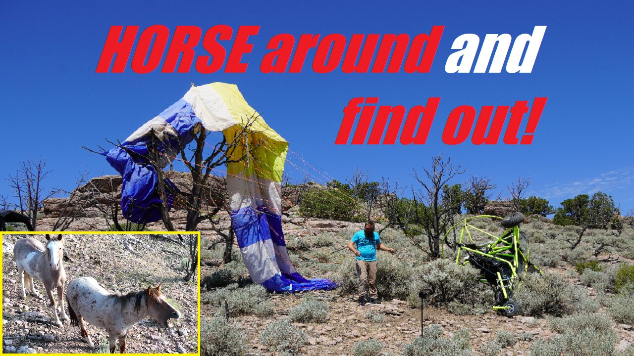 Crashing the Powered Parachute among wild horses!!
