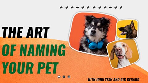 The Art of Naming Your Pet with John Tesh