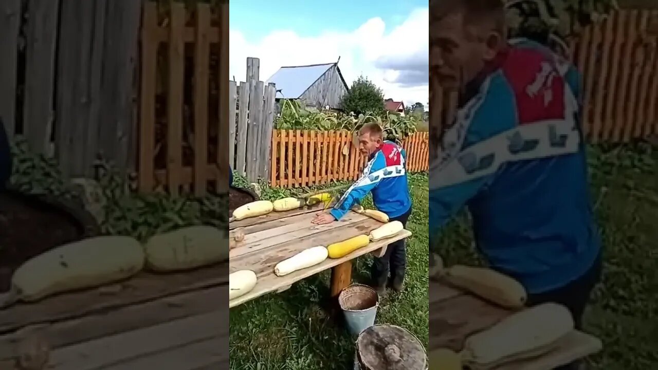 😂😂😂 У сільської русні – новий вид більярду. Викручуються як можуть. Імпортозаміщення набирає обертів