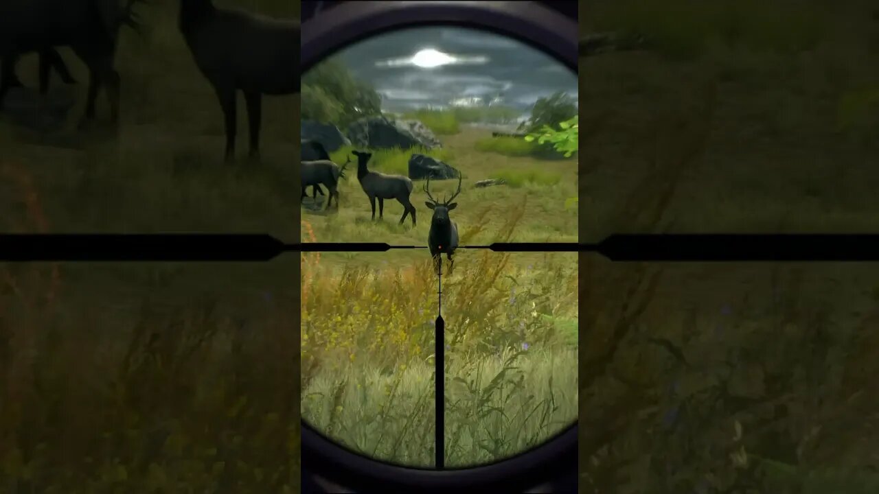 VITAL HITS 8 🦌🎯 - Way of the Hunter Animal Reactions #shorts