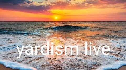 Yardism Live 6-27-22