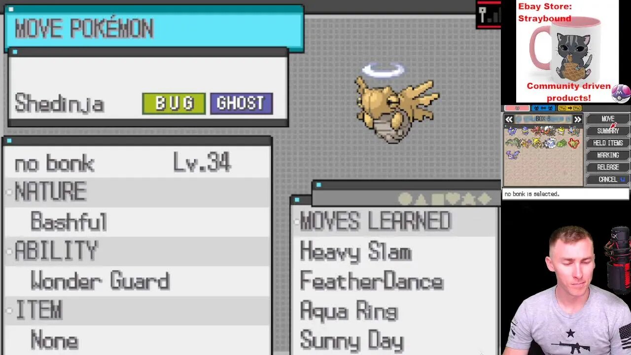 Pokemon Black 2: rAnDoMiZeR