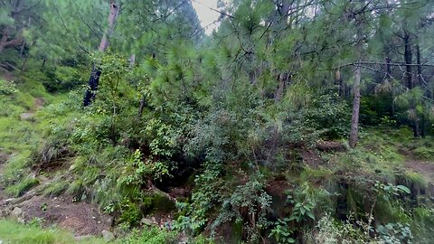 Beauty of Kashmir