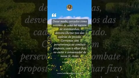 Hebreus 12,1 - Desse modo, cercados co­mo estamos de uma tal nuvem de testemunhas, desvencilhe­mo-no