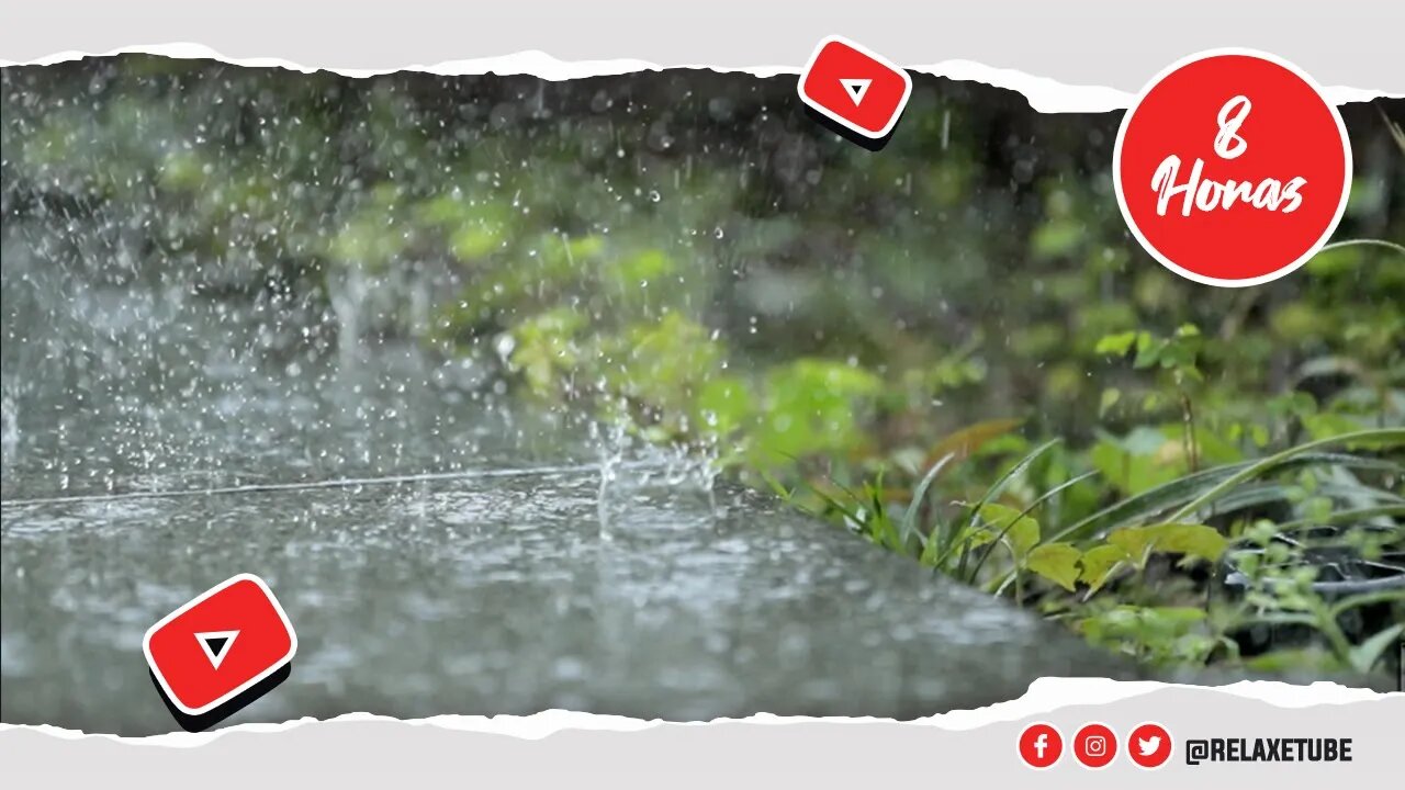 🎧 BARULHO DE CHUVA PARA DORMIR BEM E RELAXAR A MENTE 🌧️ SONS DA CHUVA 🌳 SONS DA NATUREZA 🕒 8 HORAS