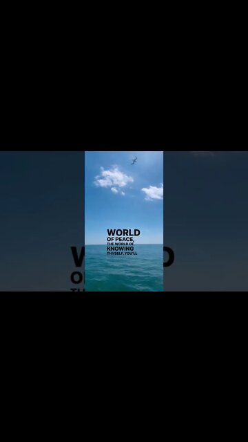 The World of Illusion & Reality #consciousness #stillness #life