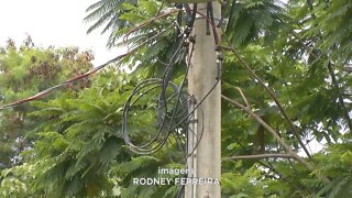 Parque Ipanema: furto de cabos de cobre prejudicam decoração natalina