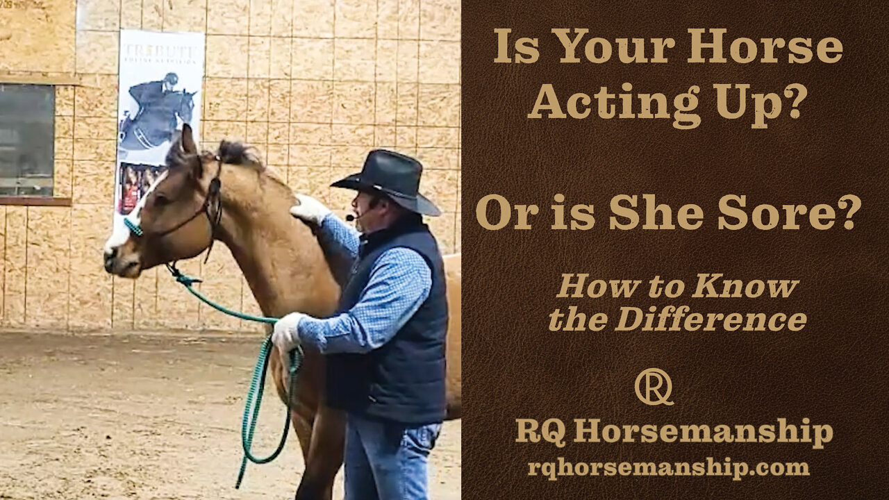 Is Your Horse Acting Up? Or is She Sore? How to Know the Difference!