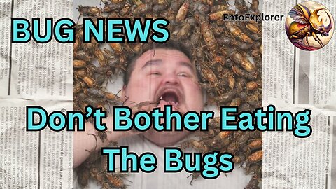 Bug News - Eating Bugs Isn't Is Inefficient