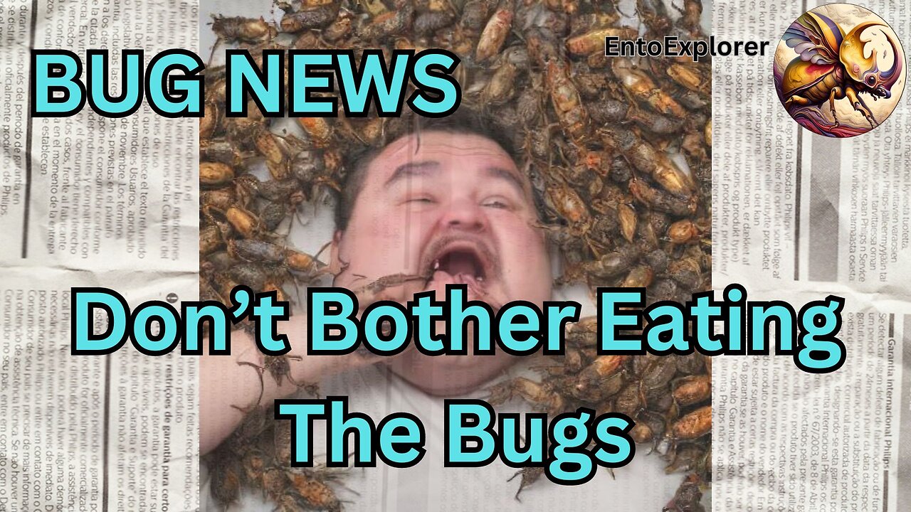 Bug News - Eating Bugs Isn't Is Inefficient