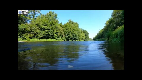 Calming Blue Forest RIVER Stream | Gentle Sound of Stream in green forest | Sleep Music