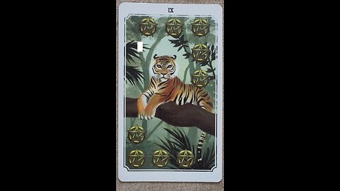 MEDITATION #skills #values #stability #instability #confidence #tarot #tarotary #dailycard