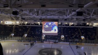 South Carolina Stingrays vs Florida Everblades- Hertz Arena 1/7/2022- #4K #DolbyVision #echl #FYP