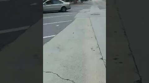 #gangstalking perp walk 09/08/2022 Pt. 1