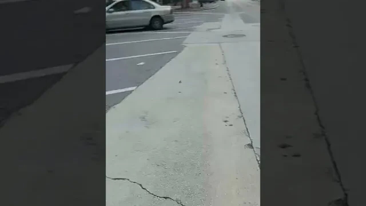 #gangstalking perp walk 09/08/2022 Pt. 1