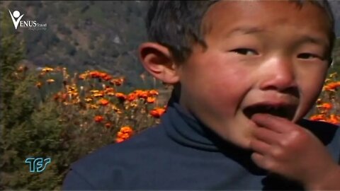 Huyền Bí Sông Hằng - Phần 06