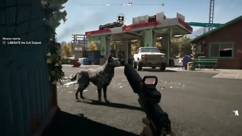 Whole video line up line up Far cry 5￼