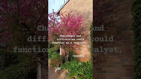 challenges and difficulties are a blessing in disguise #blrssings #blessing
