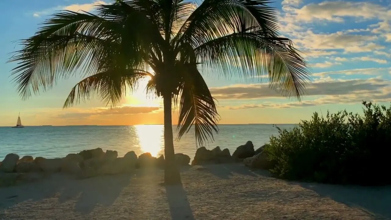 MUSIC TO RELAX AND ENJOY!!