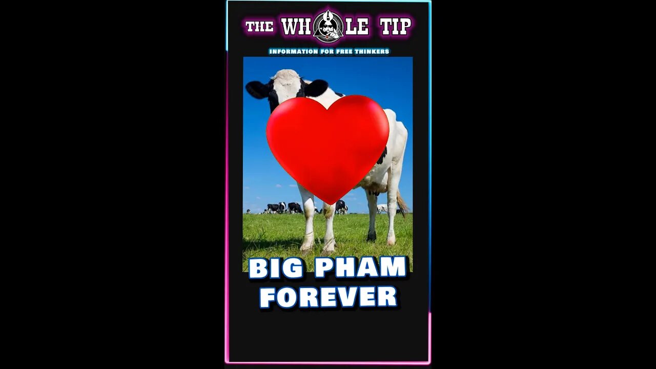 BIG FAM FOREVER - the Whole Tip Daily #shorts
