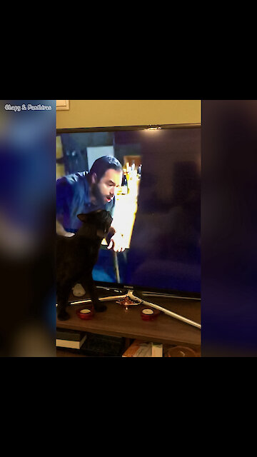 Panthiras Licking TV Because his Uncle Nikolaos Brahimllari is in Pain