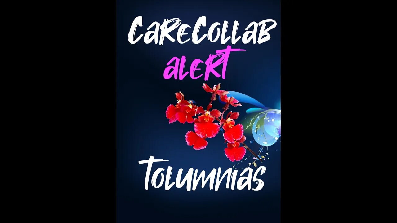 #CareCollab ALERT - #Tolumnias #shorts