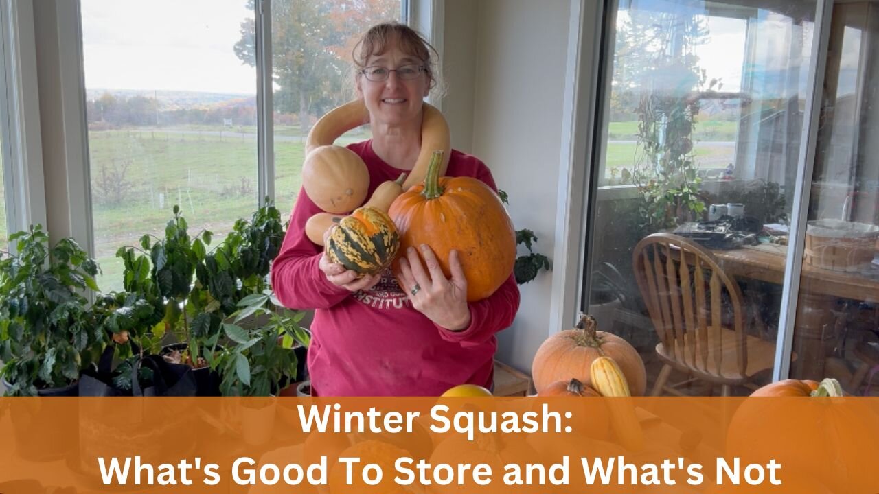 Winter Squash: What's Good To Store and What's Not