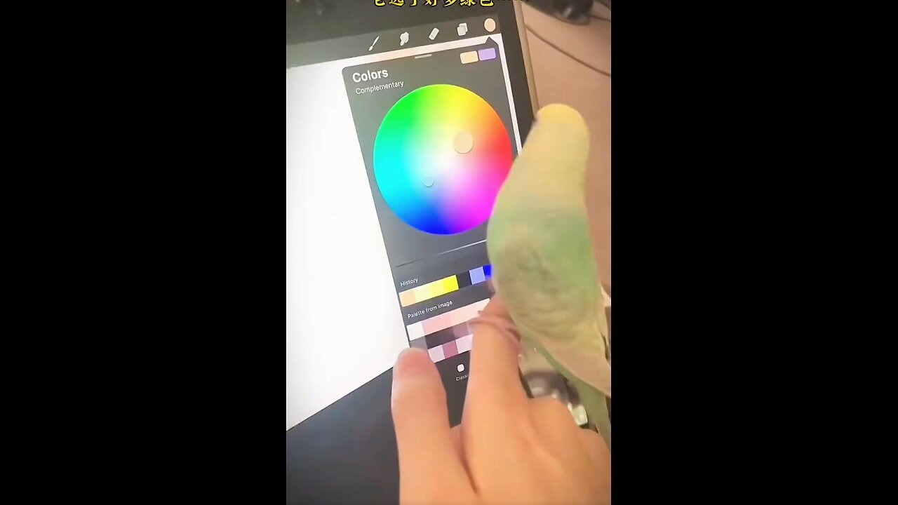 Unbelievable 😱/ This 🦜 parrot is using Tablet For Drawing ✍️ / Amazing😱 Art / wait for end #reels