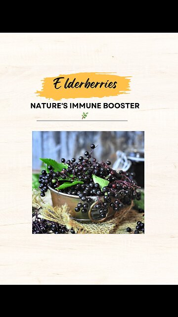 "Elderberries: Nature's Immune Booster 🌿"