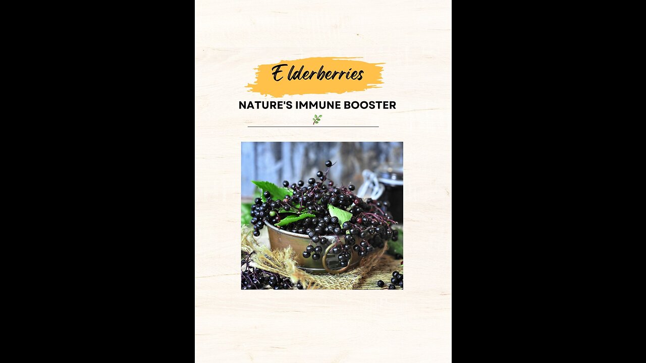 "Elderberries: Nature's Immune Booster 🌿"