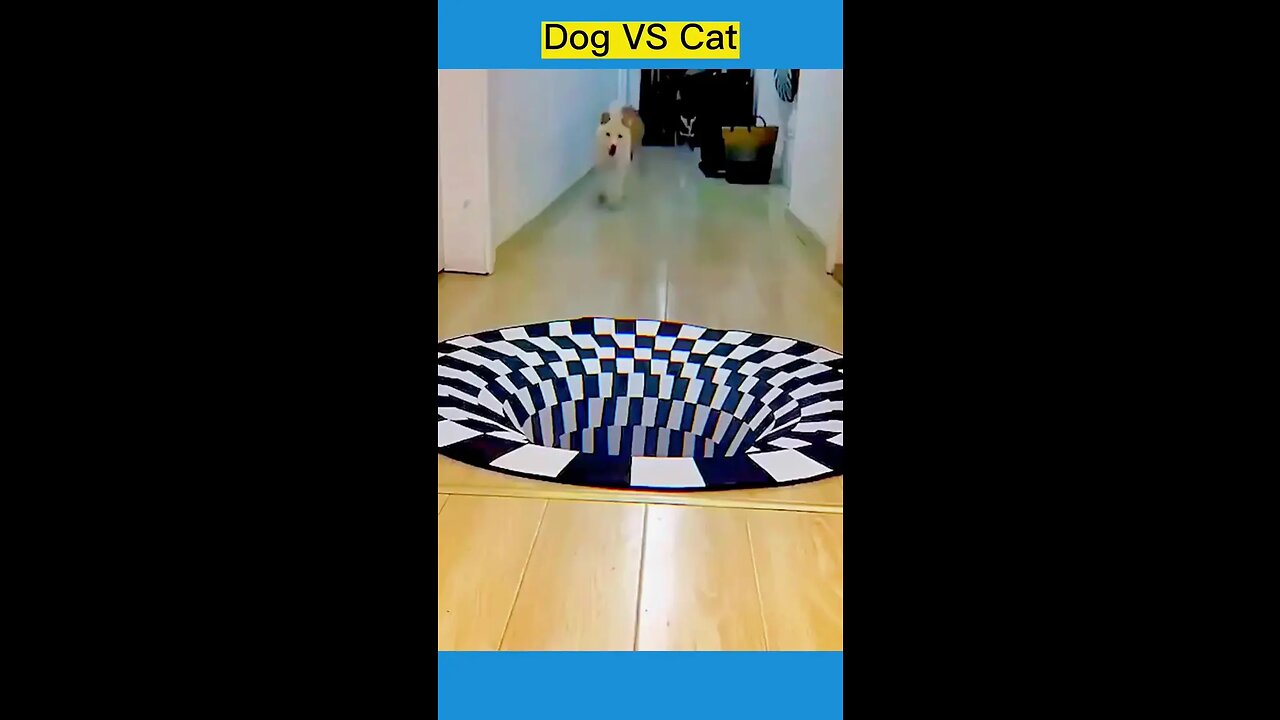 So funny#dogsoftiktok #catsoftiktok #funny #cute #pet #foryou #fyp