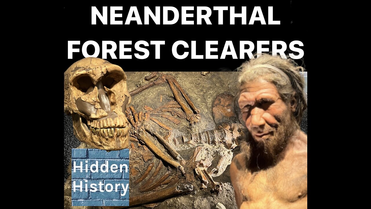 Neanderthals ‘artificially transformed their environment and cleared forests 125,000 years ago’