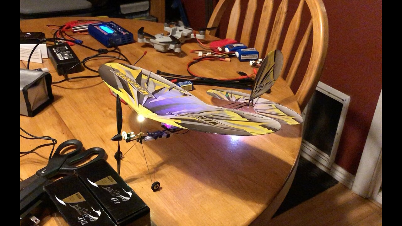 First Flights with the Little E-Flite Night Vapor RC Airplane