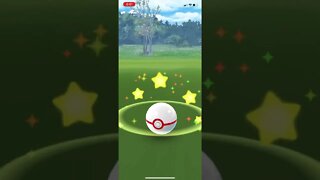 Pokémon Go - Catching Raided Tapu Bulu