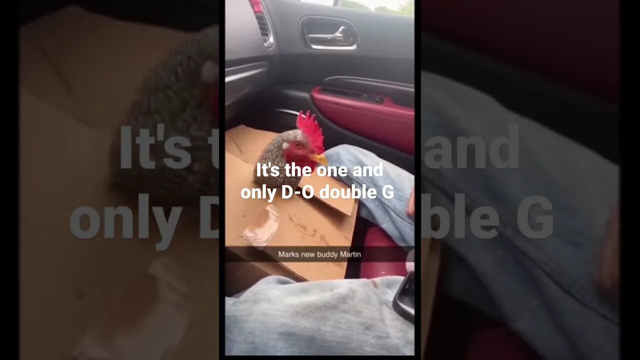 MEME is the one and only D-O double G #shorts