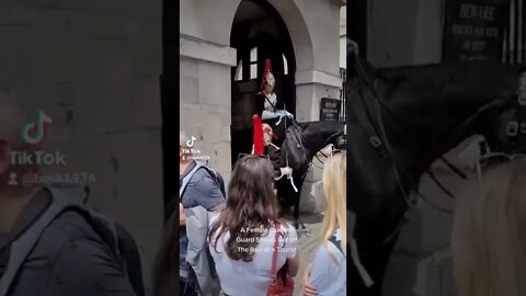 Female guard shouts get of the rein at a tourist #horseguardsparade