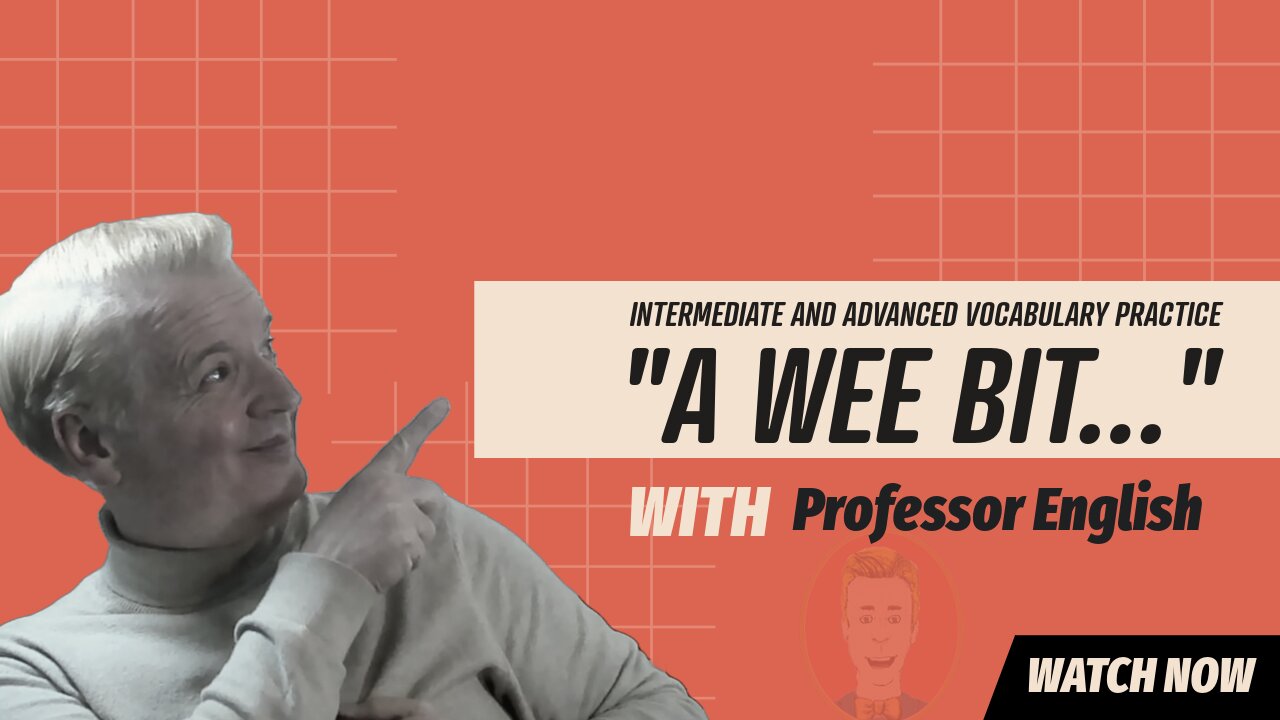 Basic English Phrase Practice Listening Speaking "A WEE BIT....." Interactive Exercise