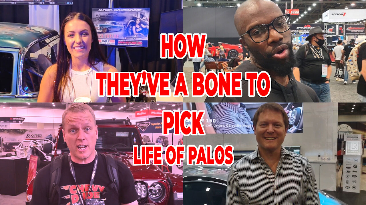 How they've a bone to pick with Life of Palos #Shorts