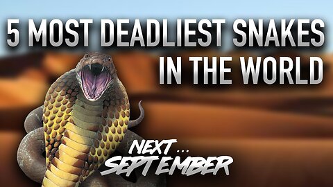 5 Most Deadliest Snakes in the World