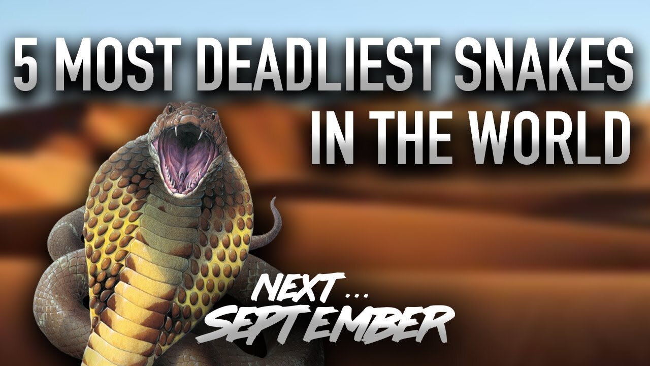 5 Most Deadliest Snakes in the World