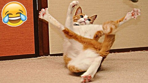 Funniest Cats and Dogs 😺🐶 Funny Animals 2023