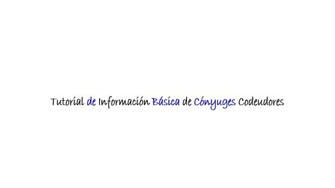 Mobile - Co Debtor Spouses Basic Info - Spanish